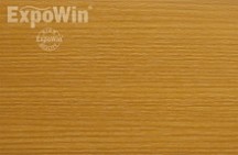 OREGON IV-S1-1623-31192001